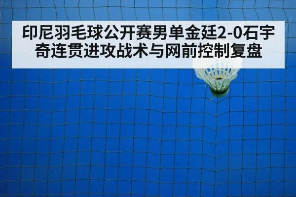 badminton net play