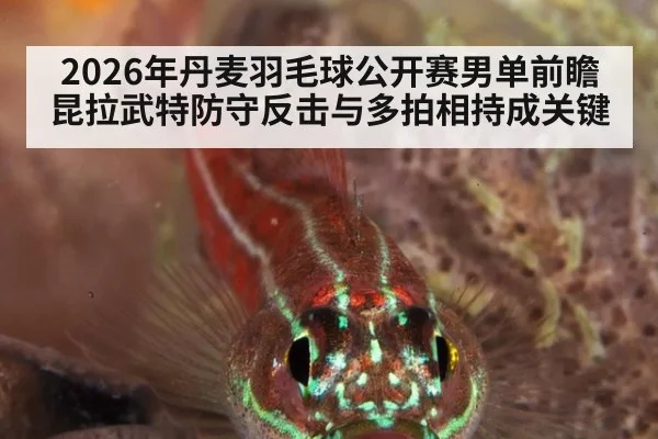 2026年丹麦羽毛球公开赛男单前瞻 昆拉武特防守反击与多拍相持成关键